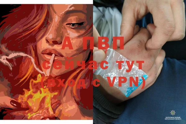 mdpv Медвежьегорск