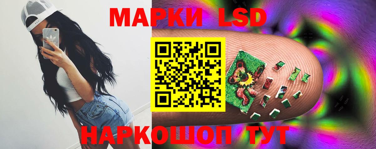 ТГК Новокузнецк