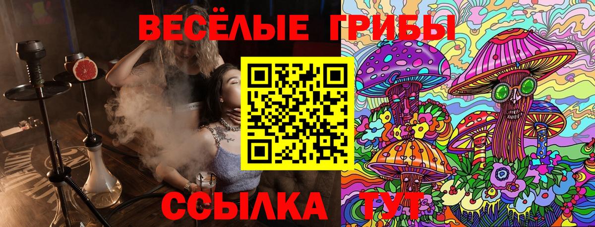 Псилоцибиновые грибы Cubensis  Вход с VPN  Новокузнецк 