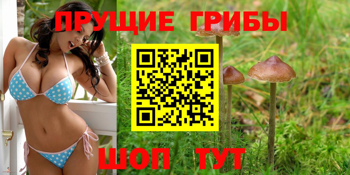 Псилоцибиновые грибы ЛСД Новокузнецк