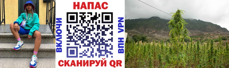 Каннабис Bruce Banner  Новокузнецк 